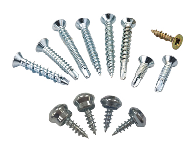 Door & Windows Fixing Screw